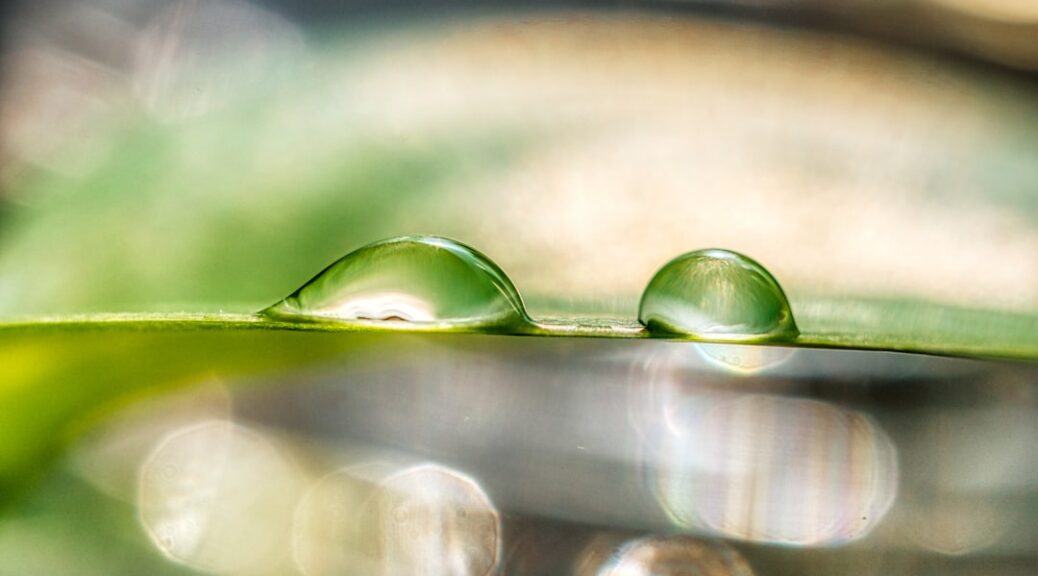 découvrez les secrets du bien-être au quotidien ! apprenez à harmoniser votre esprit et votre corps grâce à des astuces pratiques, des conseils en santé mentale, et des techniques de relaxation. transformez votre vie et cultivez une sérénité durable.