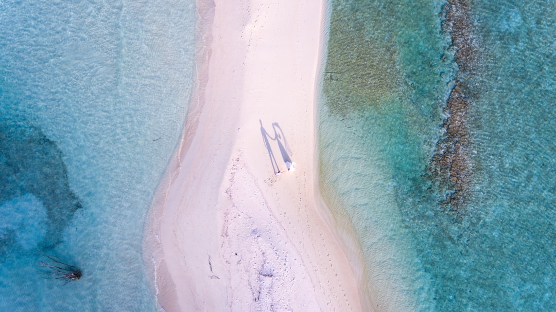 découvrez des astuces et conseils pour voyager à petit budget sans compromettre la qualité de votre expérience. explorez des destinations abordables, des activités gratuites et des conseils pratiques pour maximiser votre plaisir tout en réduisant vos dépenses.