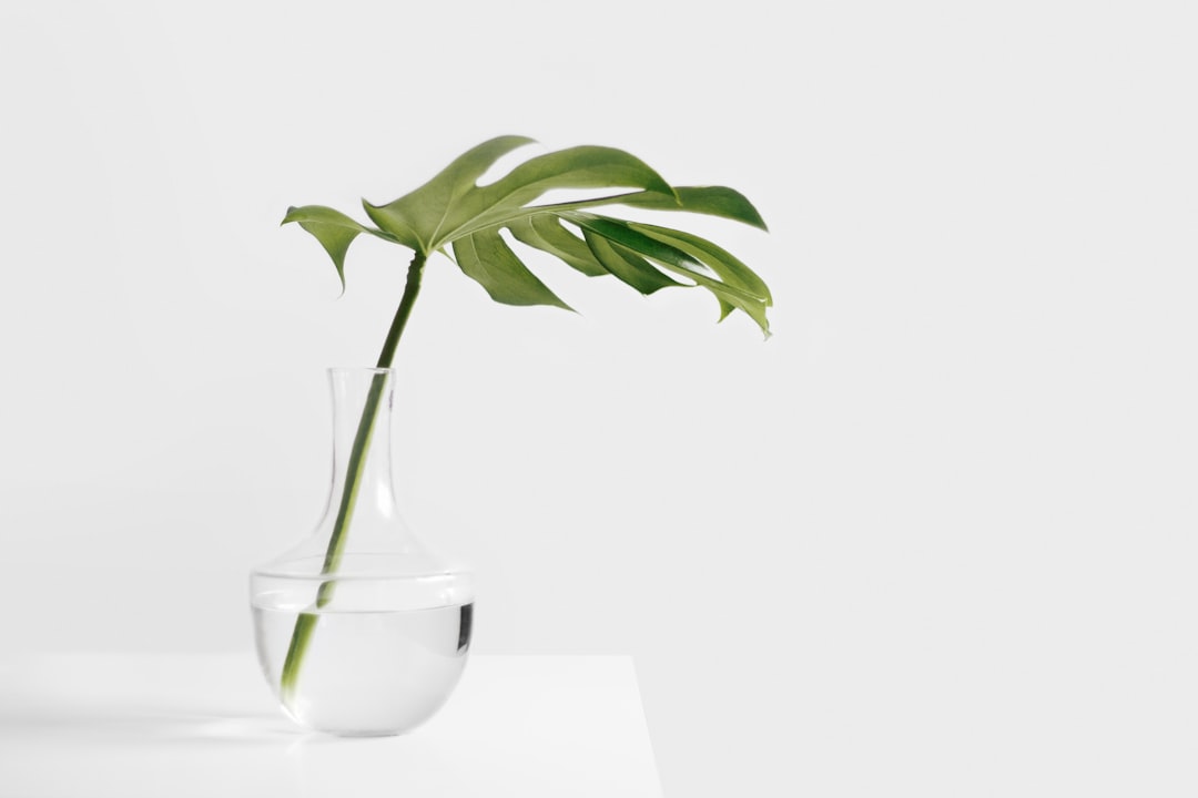 découvrez l'art du minimalisme émotionnel, une approche innovante pour simplifier votre vie intérieure, réduire le stress et cultiver des émotions positives. apprenez à vous détacher du superflu et à retrouver votre sérénité au quotidien.